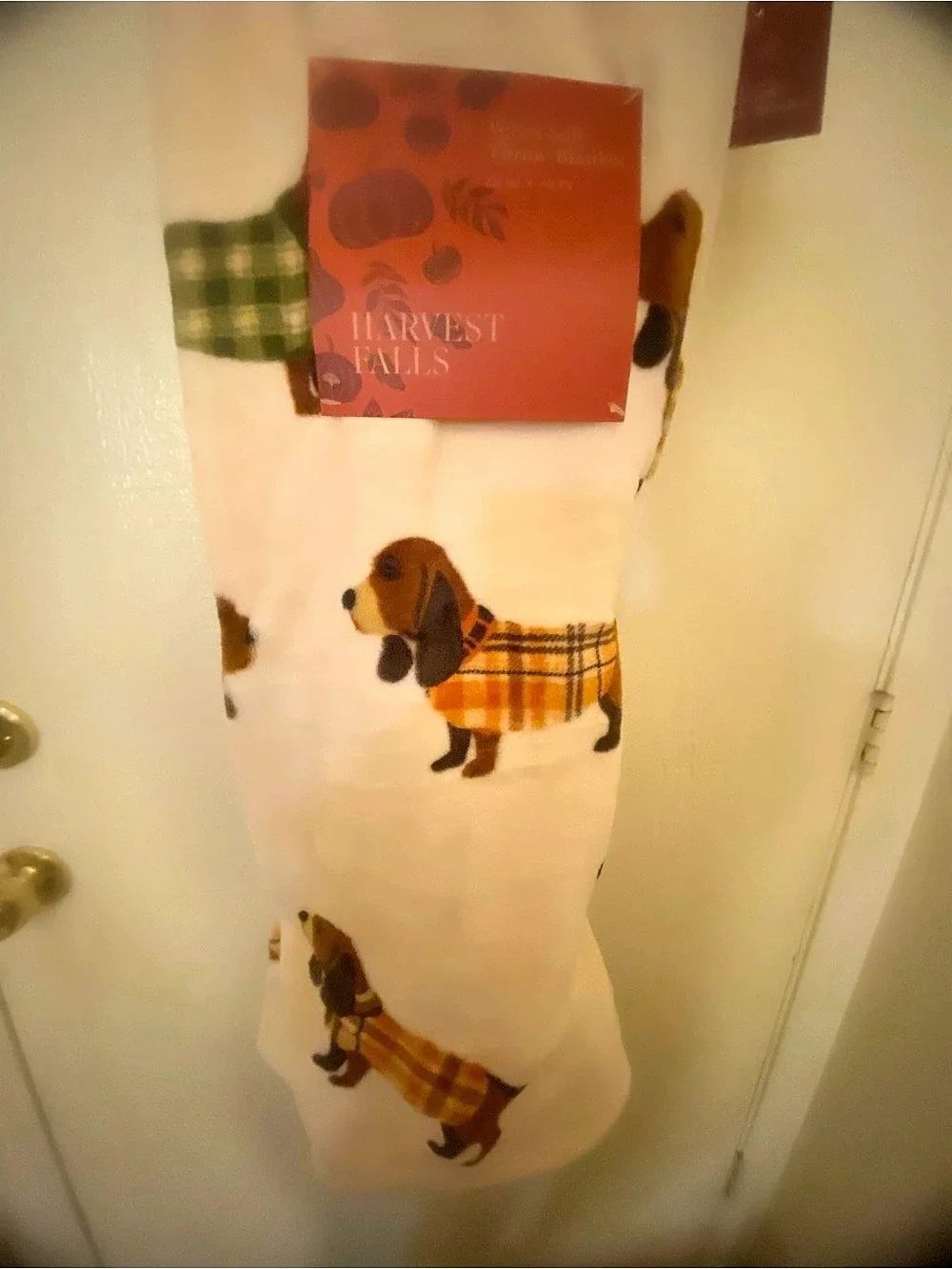 Harvest Falls Velvet Soft Throw Blanket Pumpkin Dog White & Orange NWT